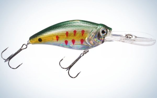 Brilliantly-colored, long-billed, lazer eye crankbait