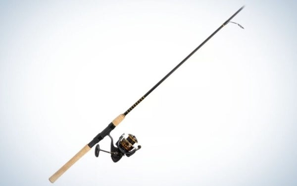Daiwa BG Saltwater Combo