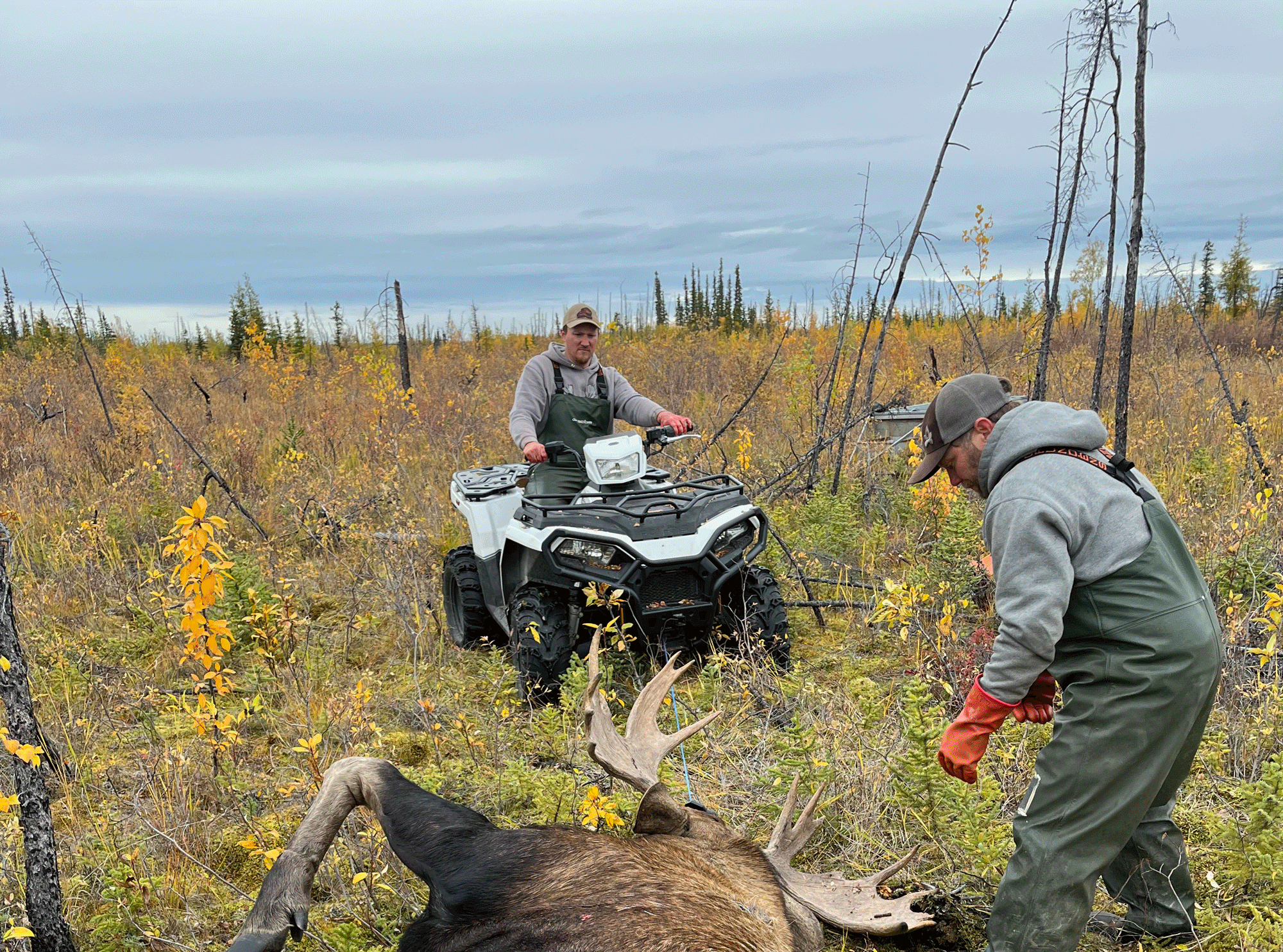 Polaris Sportsman 570 HD Utility