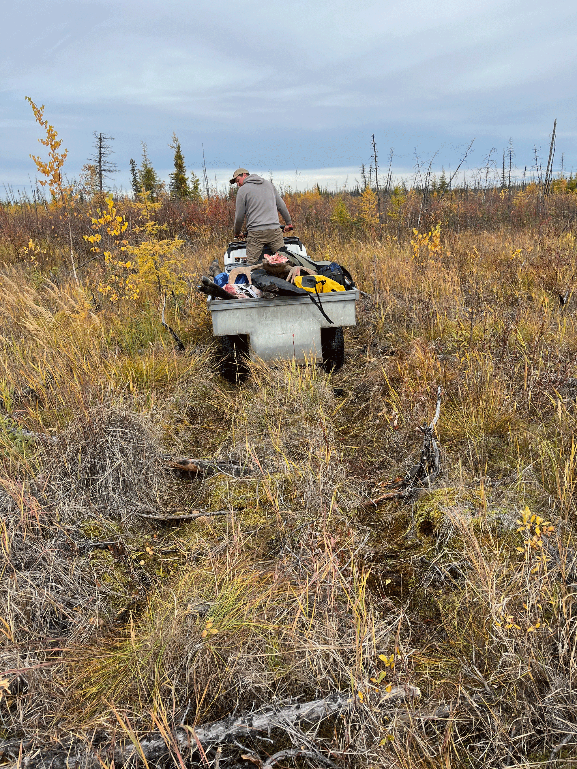 Freel towin out moose with Sportsman 570 HD Utility