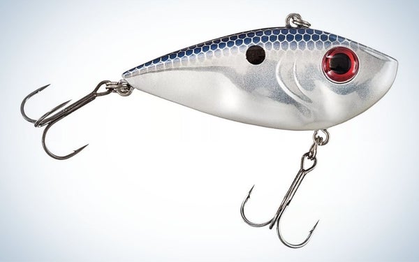 Chrome blue, red-eyed, lipless crankbait