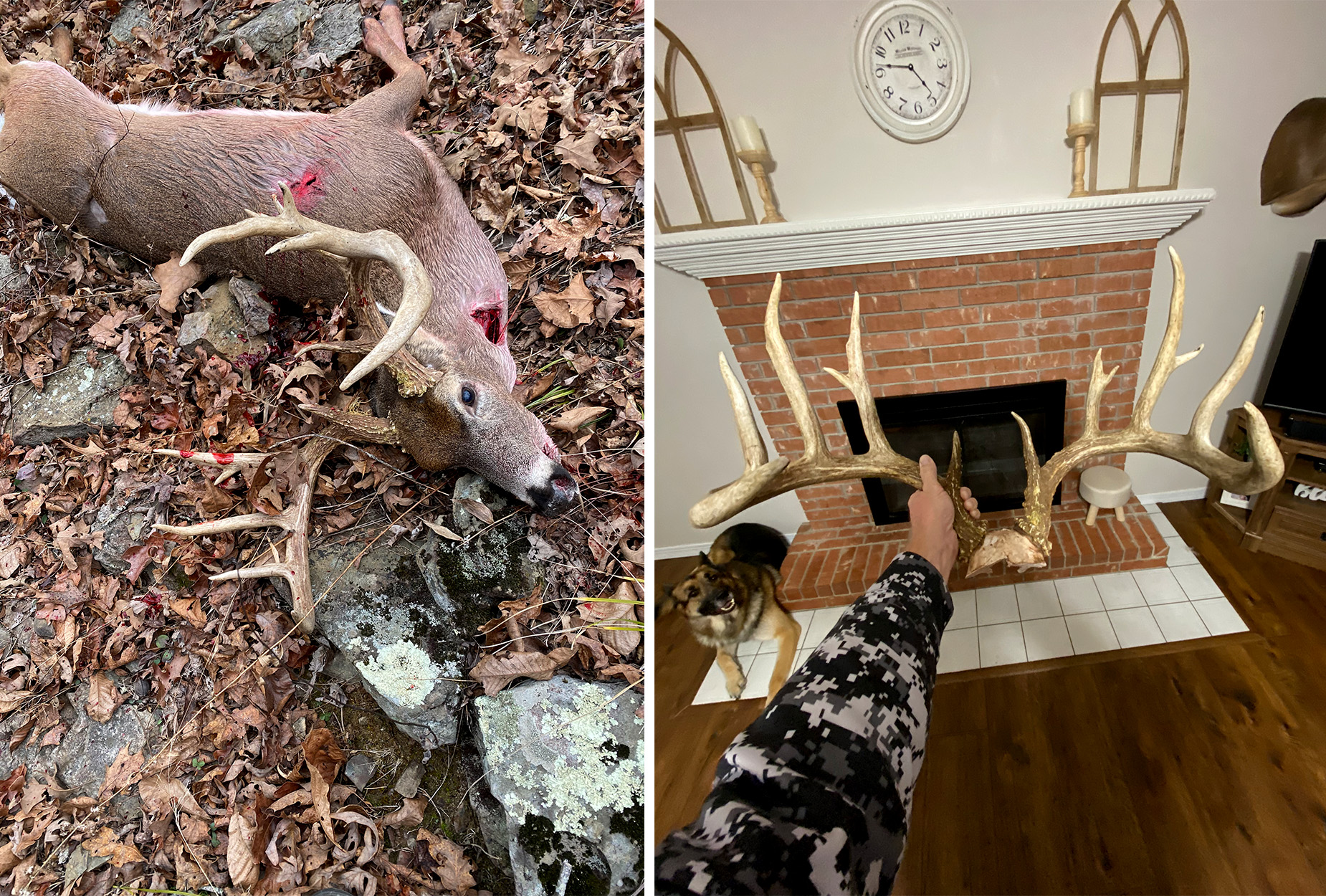 The big Arkansas buck where Duvall found it. Duvall holds up the rack back at home