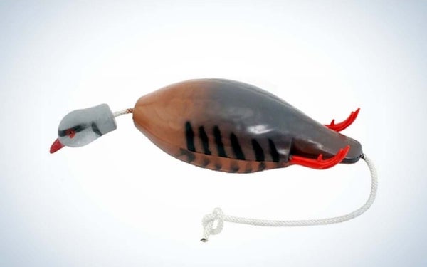 Bird Hunting Gear photo