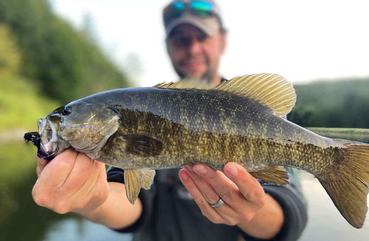 smallmouth bass