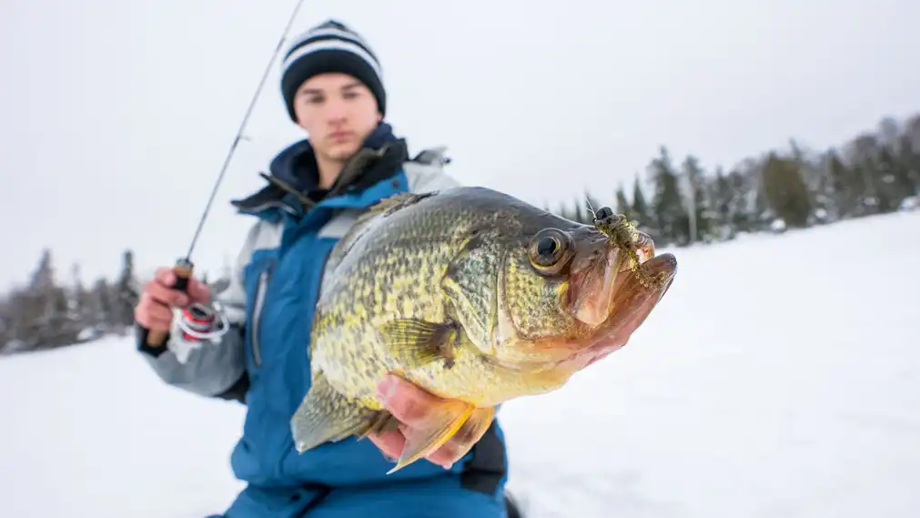 ice fishing for panfish