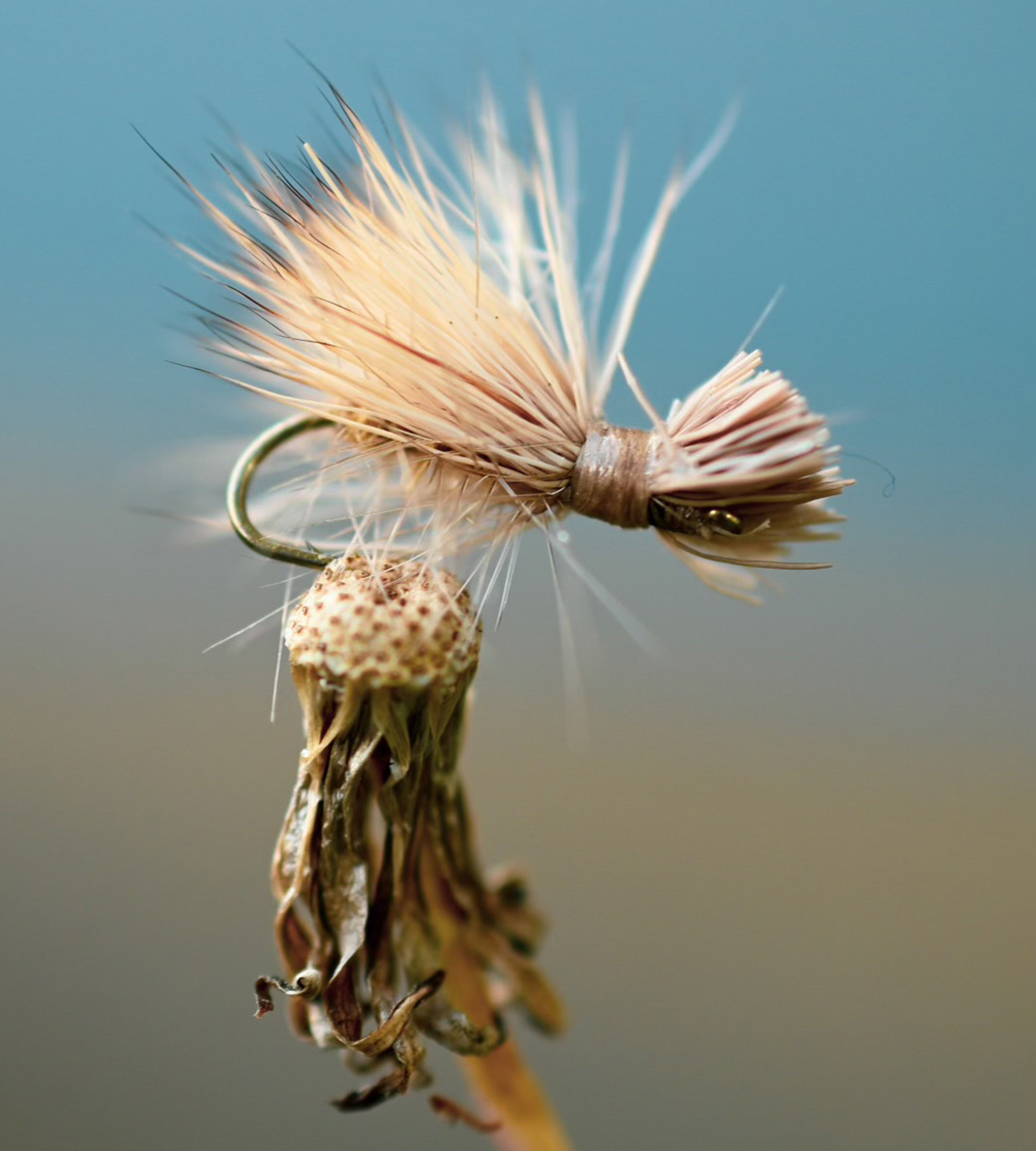 A dry fly that was tied with elk hair.