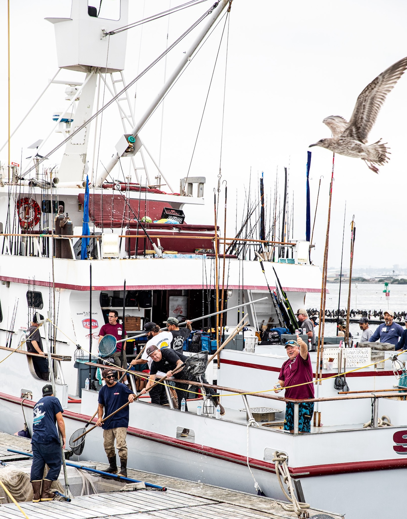 Shogun Sportfishing restocks the boat at dock.