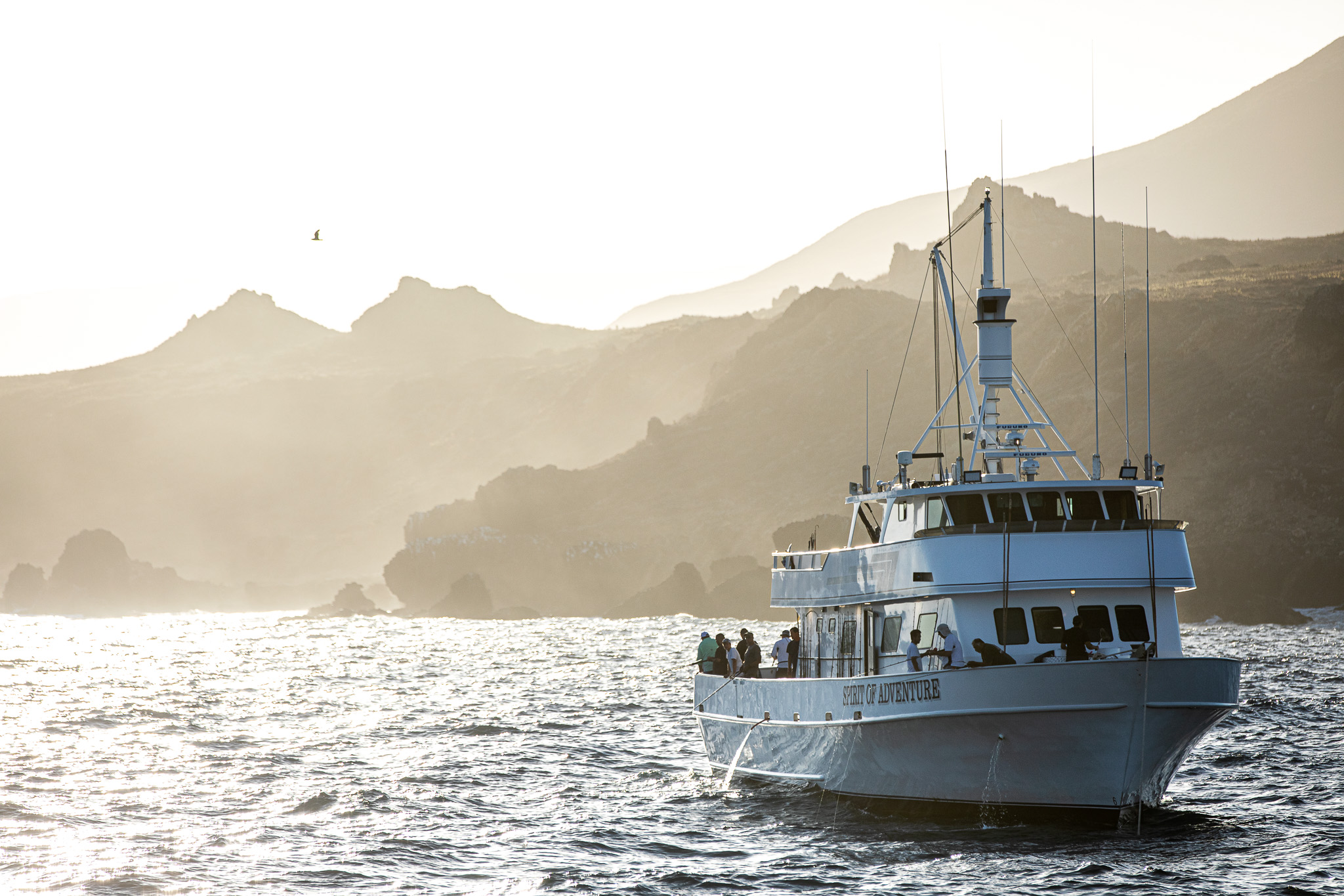 The Spirit of Adventure off-shore charter motors near shore in Southern California.