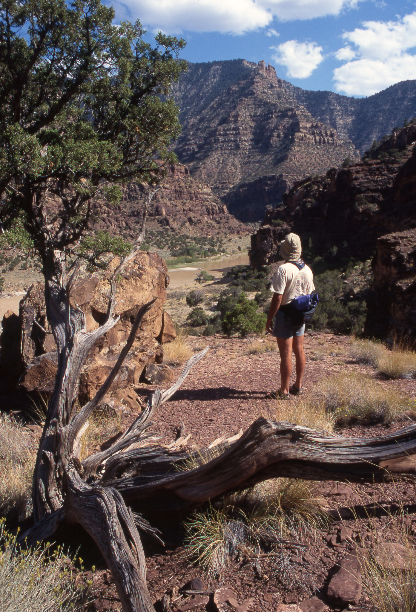 A hiker stands in Desolation Canyon, Utah.