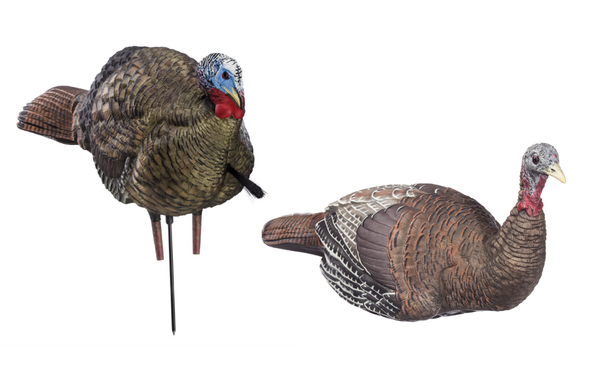 Avian-X LCD Half-Strut Jake and LCD Laydown Hen Turkey Decoys on white background