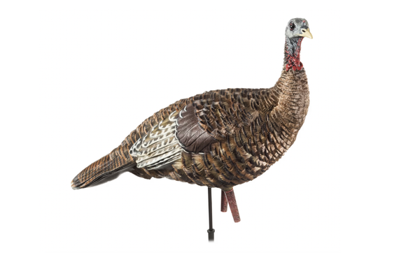 Avian-X LCD Lookout Hen Turkey Decoy on white background