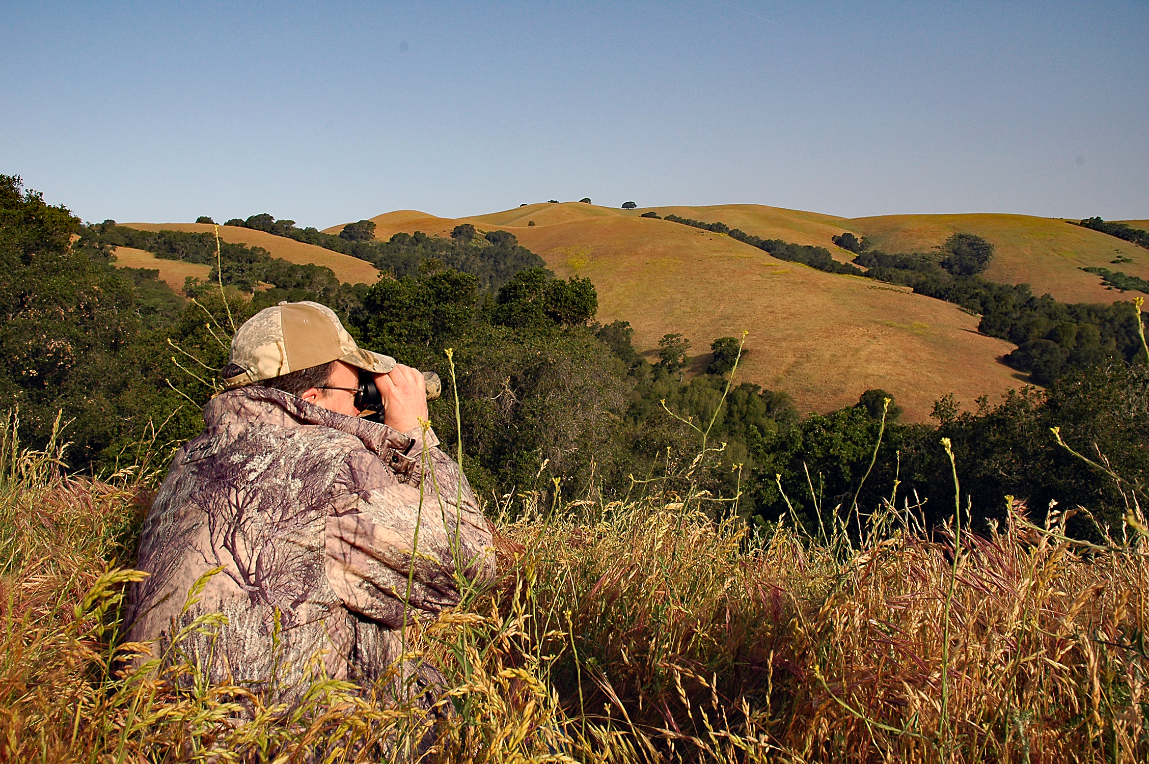 spot and stalk hog hunting