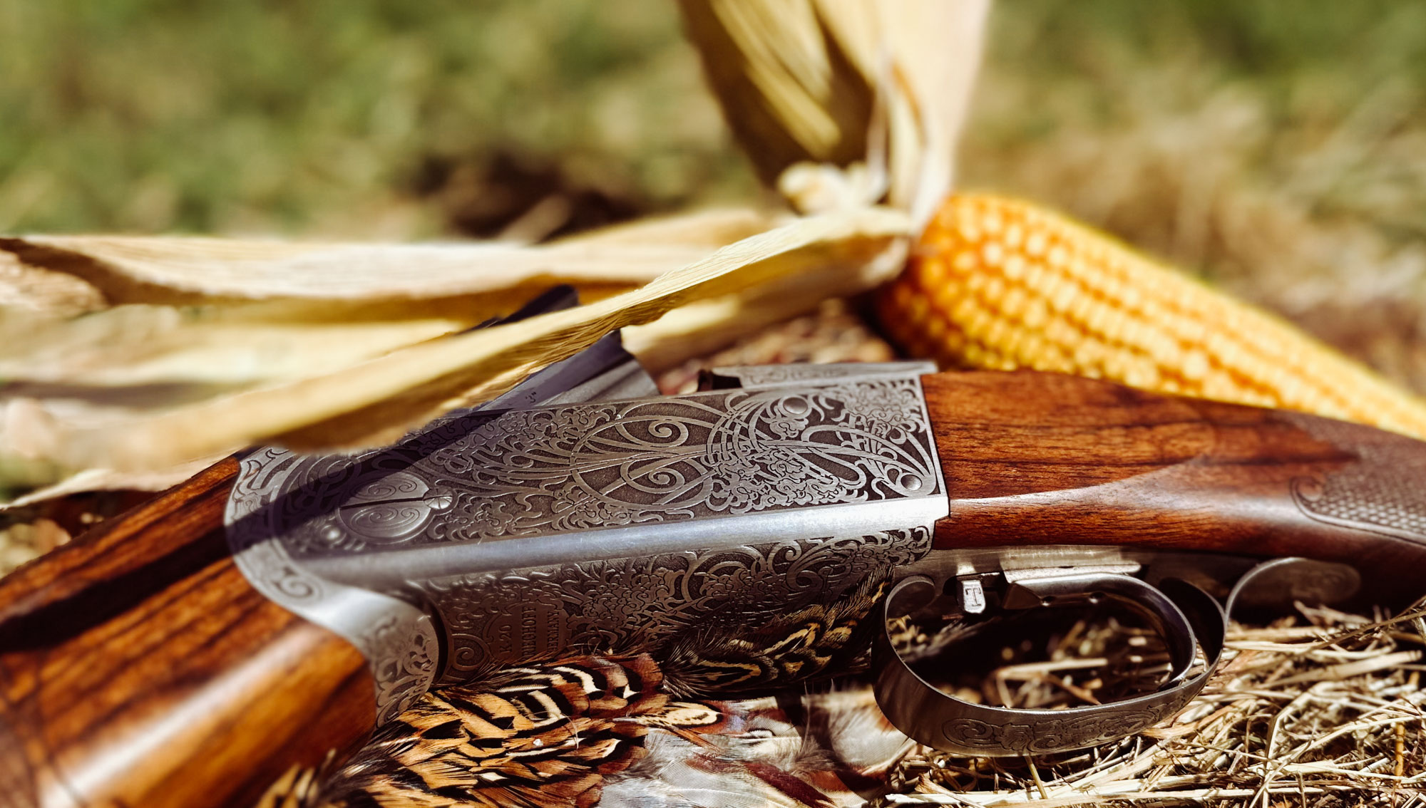 Krieghoff K-20 Victoria in a corn field