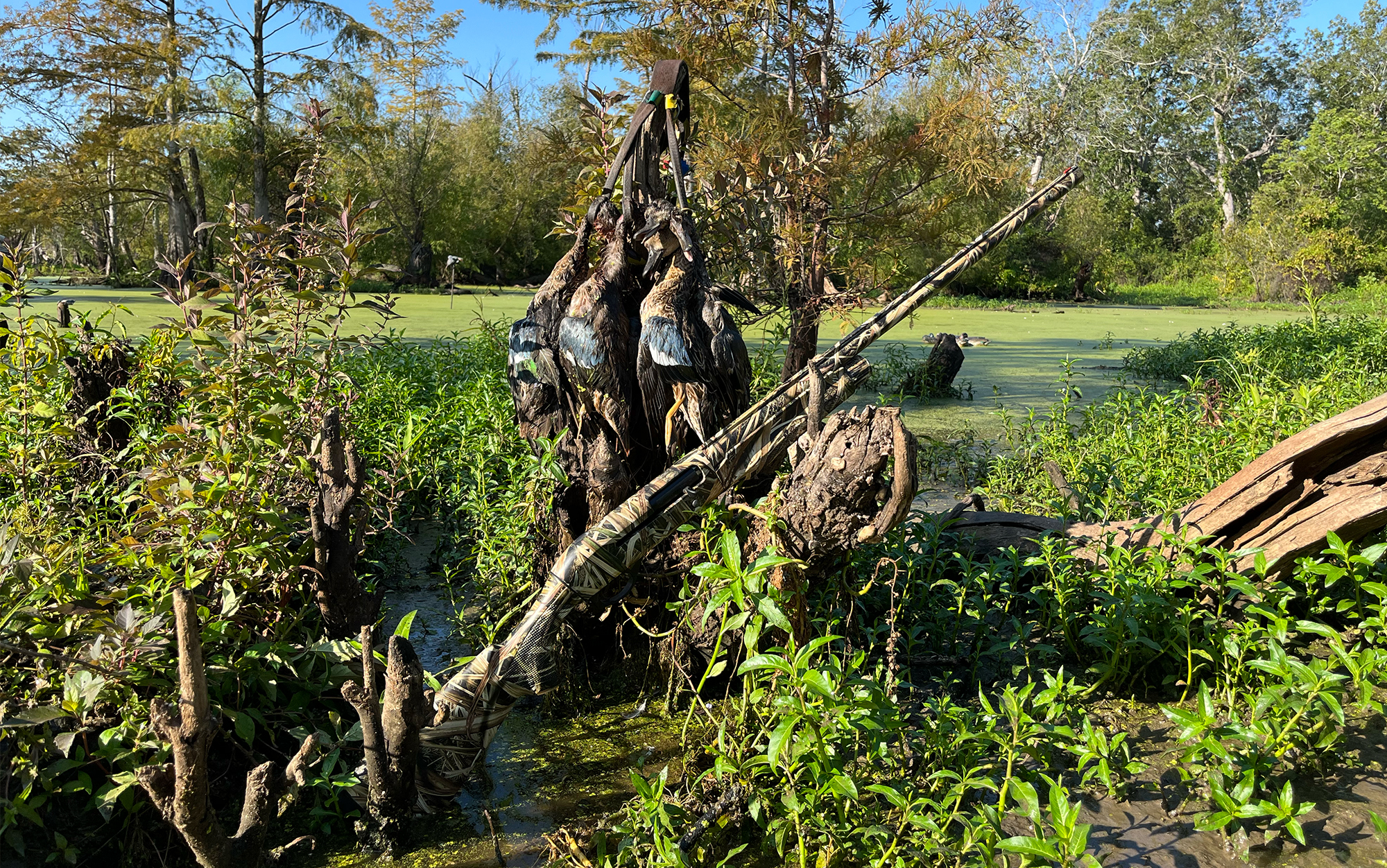 The S2 in Realtree Max 7.