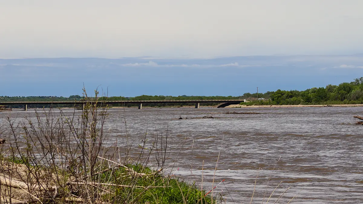 channel catfish river