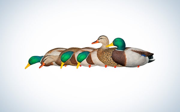 Calls & Decoys photo