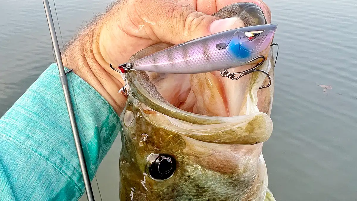topwater fishing lure