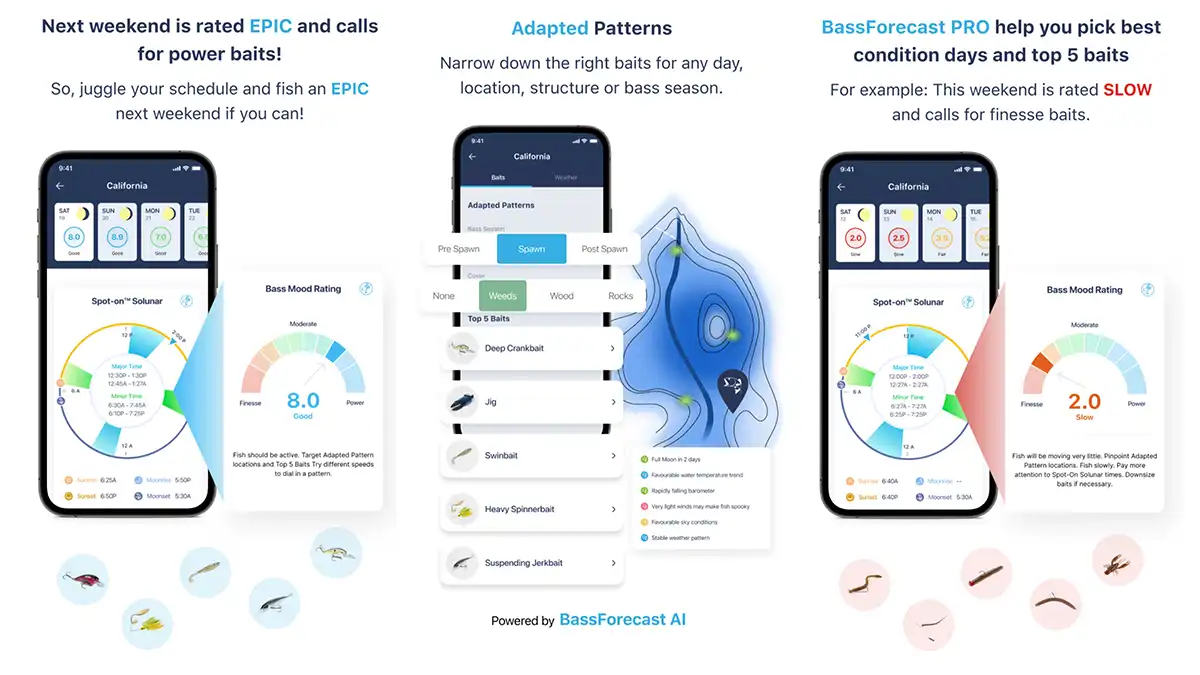 BassForecast fishing app
