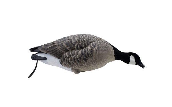Waterfowl Hunting Gear photo