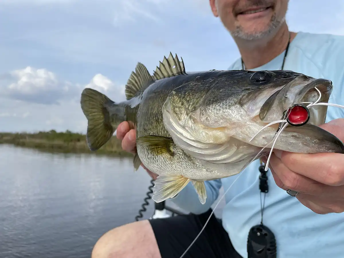 fly fishing for largemouth bass in florida