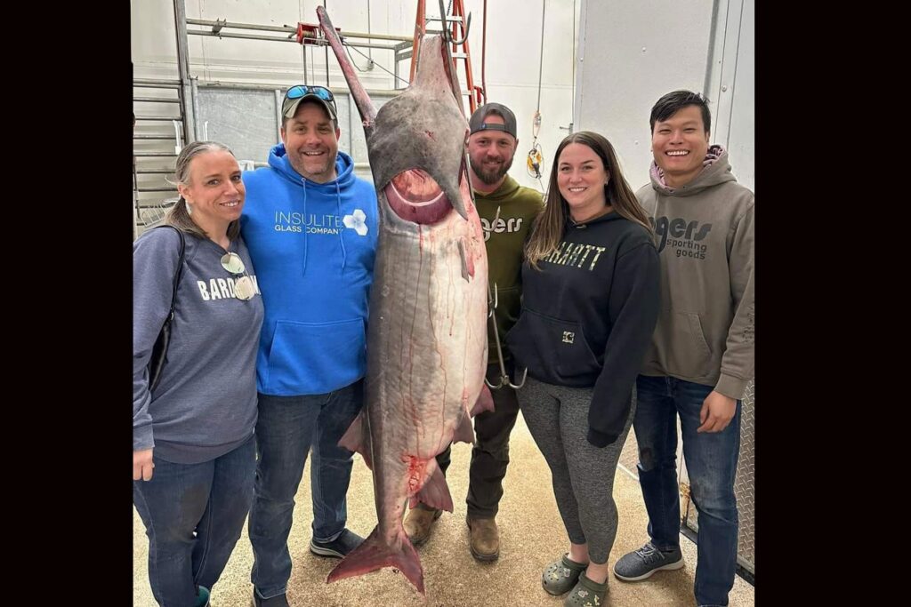 First-Time Paddlefish Angler Snags Massive World Record in MO – Afield ...