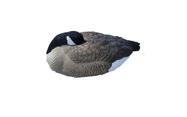 Waterfowl Hunting Gear photo