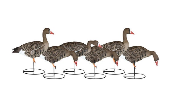 speck decoys