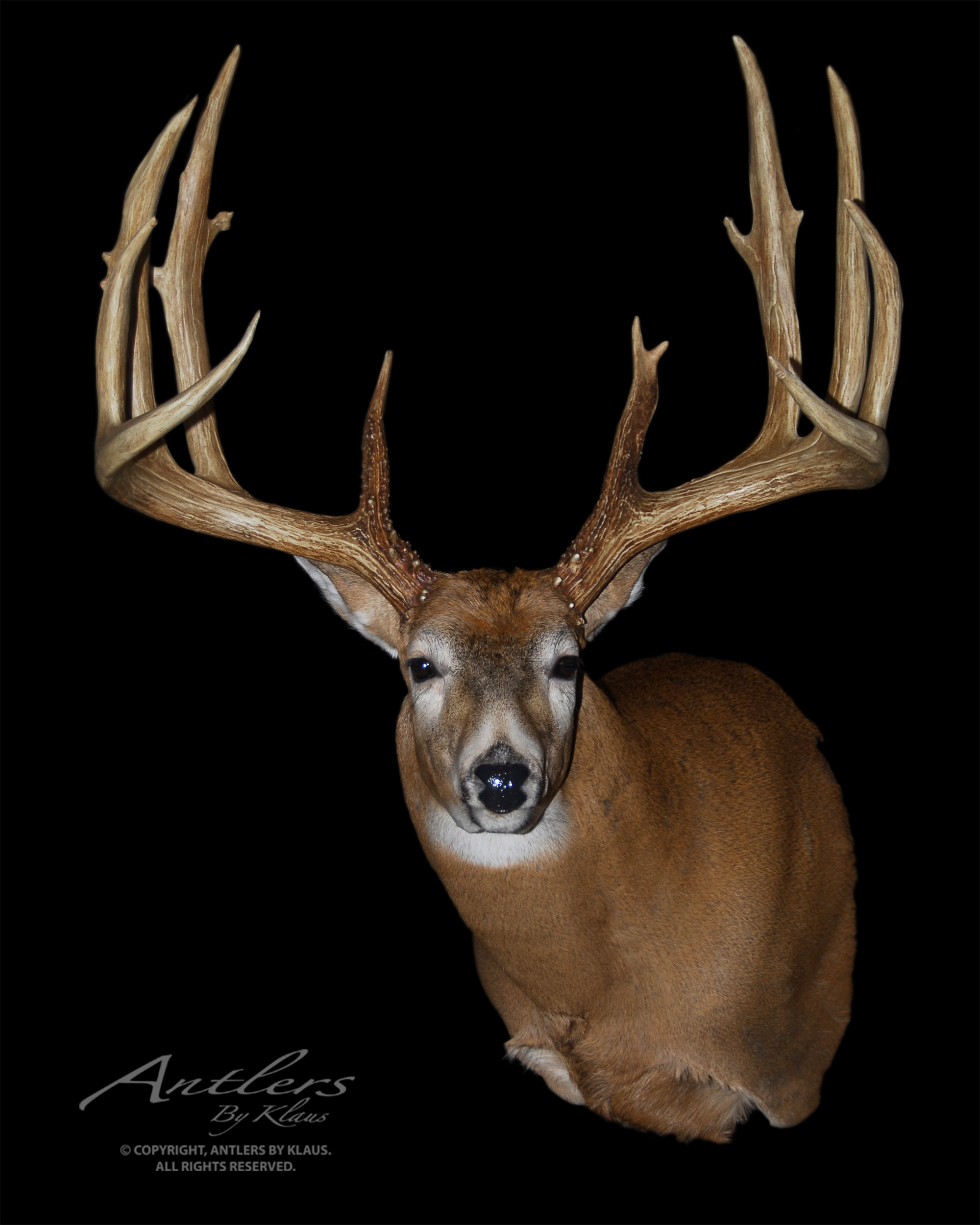 flemming antlers set