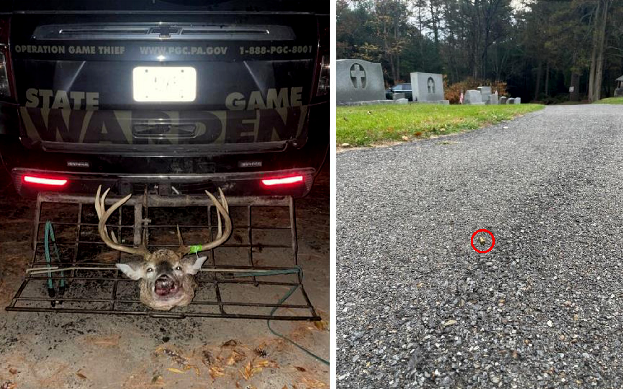 A buck's head on a game warden's tailgate; a 9mm round lies on the roadway in a cemetery.
