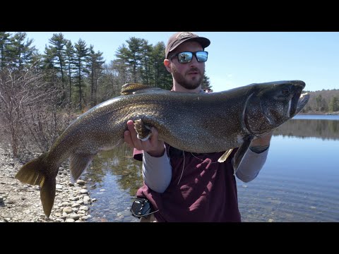 Watch: Massachusetts Angler Catches Potential Record Lake Trout from ...