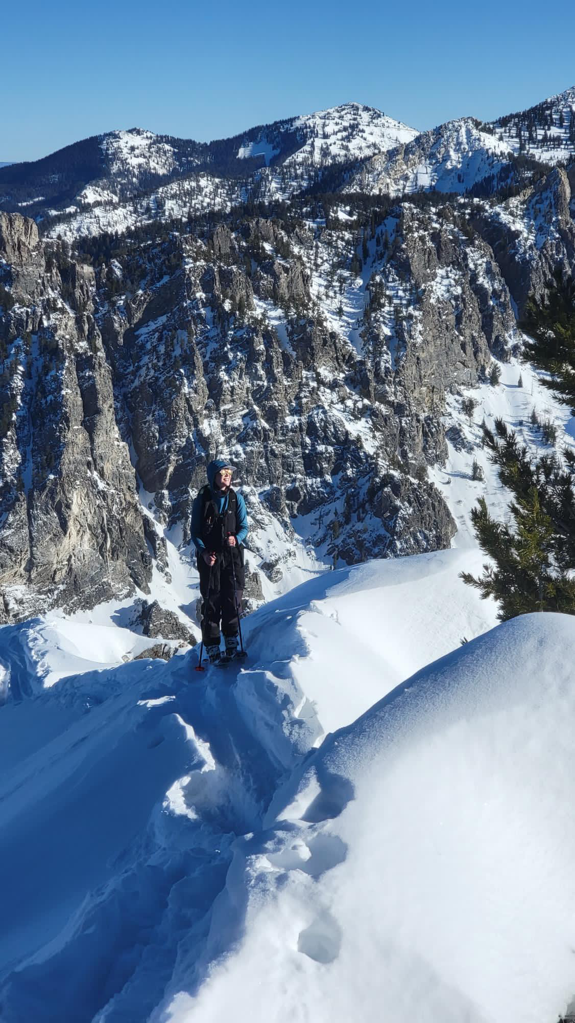 Skier stands on skin track.
