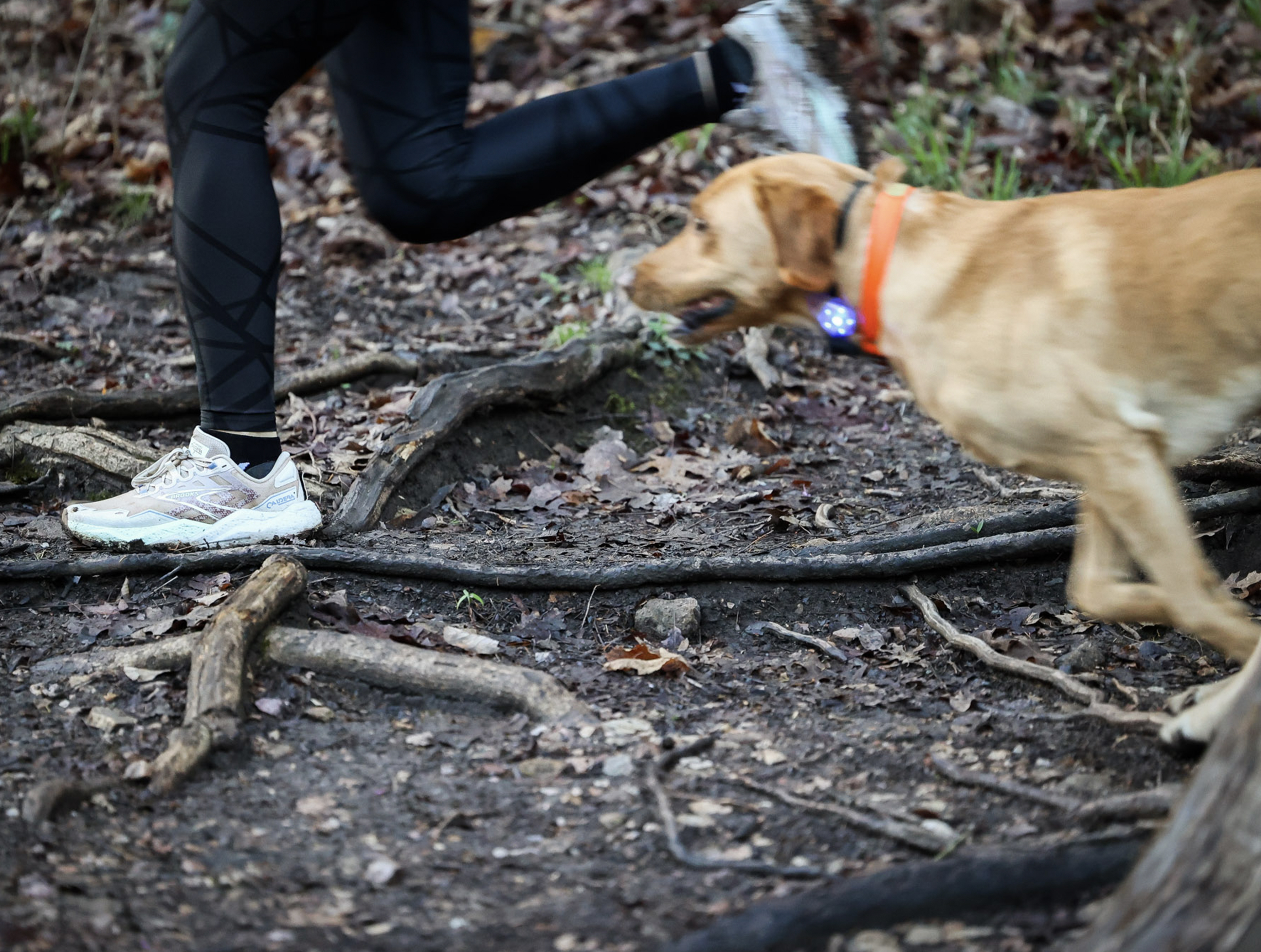 Woman runs on trail with dog.